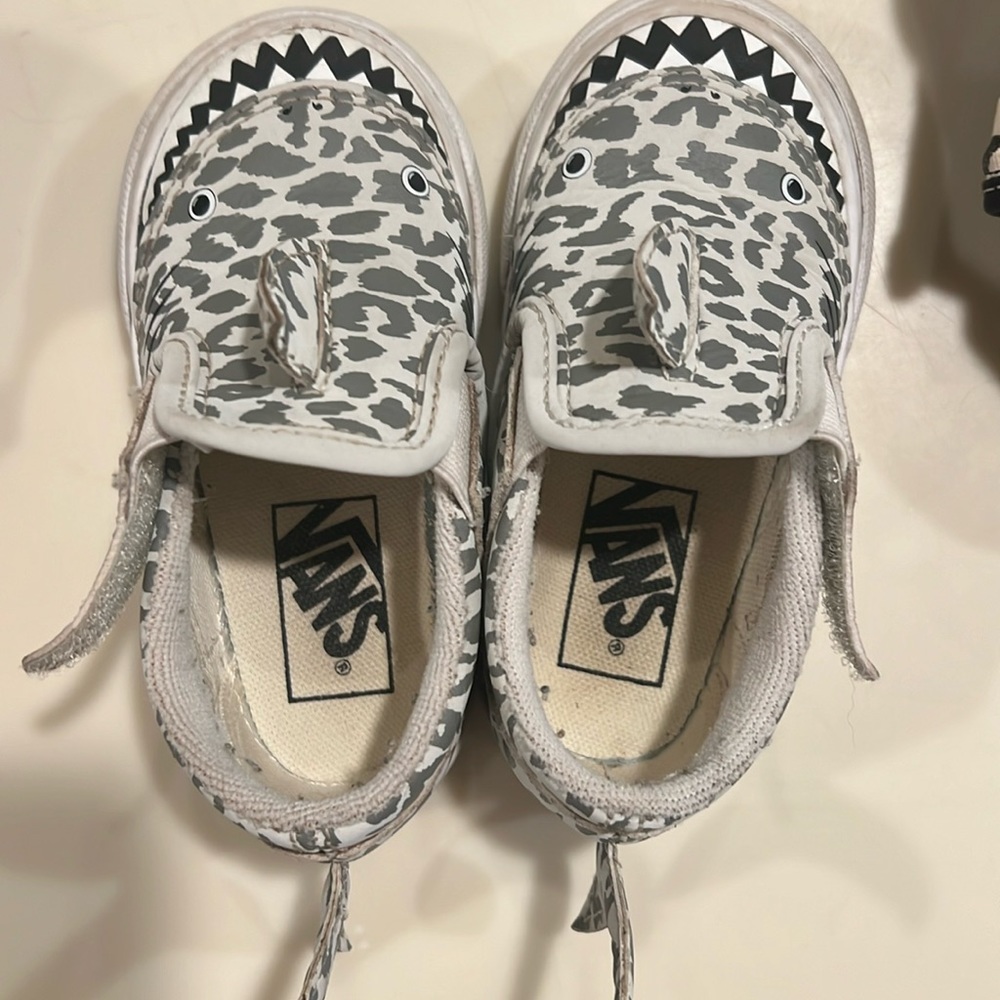 Shark Vans